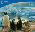 2011 National Geographic Penguins Wall Calendar