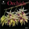 2011 Orchids - Smithsonian Institution Wall Calendar