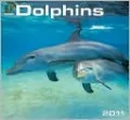 2011 Dolphins Wall Calendar