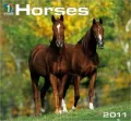 2011 Horses Wall Calendar