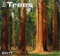 2011 Trees Wall Calendar