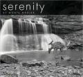 2011 Serenity Wall Calendar
