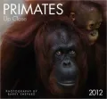 2012 Primates - Up Close Wall Calendar