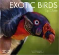 2012 Exotic Birds - Up Close Wall Calendar