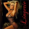 2012 Lingerie Wall Calendar