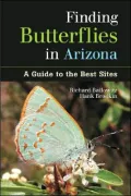 Finding Butterflies in Arizona: A Guide to the Best Sites