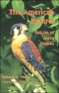The American Kestrel: Falcon of Many Names