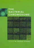 Book cover of The Bacterial Chromosome