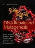 DNA Repair and Mutagenesis