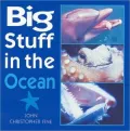Big Stuff in the Ocean