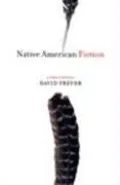 Book cover of Native American Fiction: A User's Manual