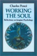 Working the Soul Reflections on Jungian Psychology