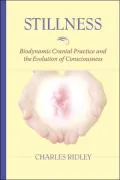 Stillness: Biodynamic Cranial Practice and the Evolution of Consciousness