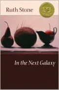 In the Next Galaxy