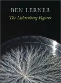 The Lichtenberg Figures
