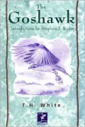 The Goshawk