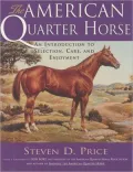 The American Quarter Horse