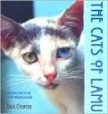 The Cats of Lamu