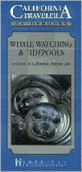 California Traveler Guidebook: Whale Watching & Tidepools