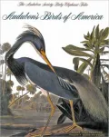 Audubon's Birds of America: The Audubon Society Baby