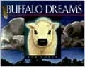 Buffalo Dreams