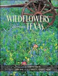 Wildflowers across Texas