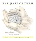 The Least of These: Rescue and Rehabilitation of Wild Baby Birds