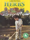 Growing Herbs