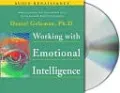 Working with Emotional Intelligence