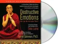 Destructive Emotions: A Scientific Dialogue with the Dalai Lama