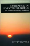 Absorption in No External World: 170 Issues In Mind-Only Buddhism