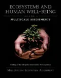 Ecosystems and Human Well-Being : Multiscale Assessments: Findings of the Sub-Global Assessments Working Group