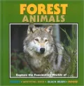 Forest Animals