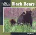 Black Bears