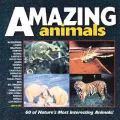 Amazing Animals