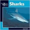 Sharks
