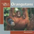 Orangutans