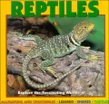 Reptiles: Explore the Fascinating Worlds of...Alligators And Crocodiles-Lizards-Snakes-Turtles