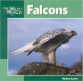 Falcons