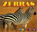 Zebras