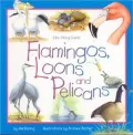 Flamingos, Loons and Pelicans