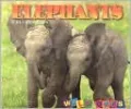 Elephants