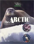 The Arctic