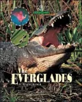 The Everglades