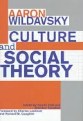 Culture and Social Theory