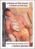 Men Who Loved Me: A Memoir in the Form of a Novel