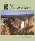 Wild and Beautiful Yellowstone