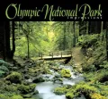 Olympic National Park Impressions