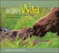Born Wild in Yellowstone and Grand Teton National Parks