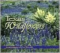 Texas Wildflowers
